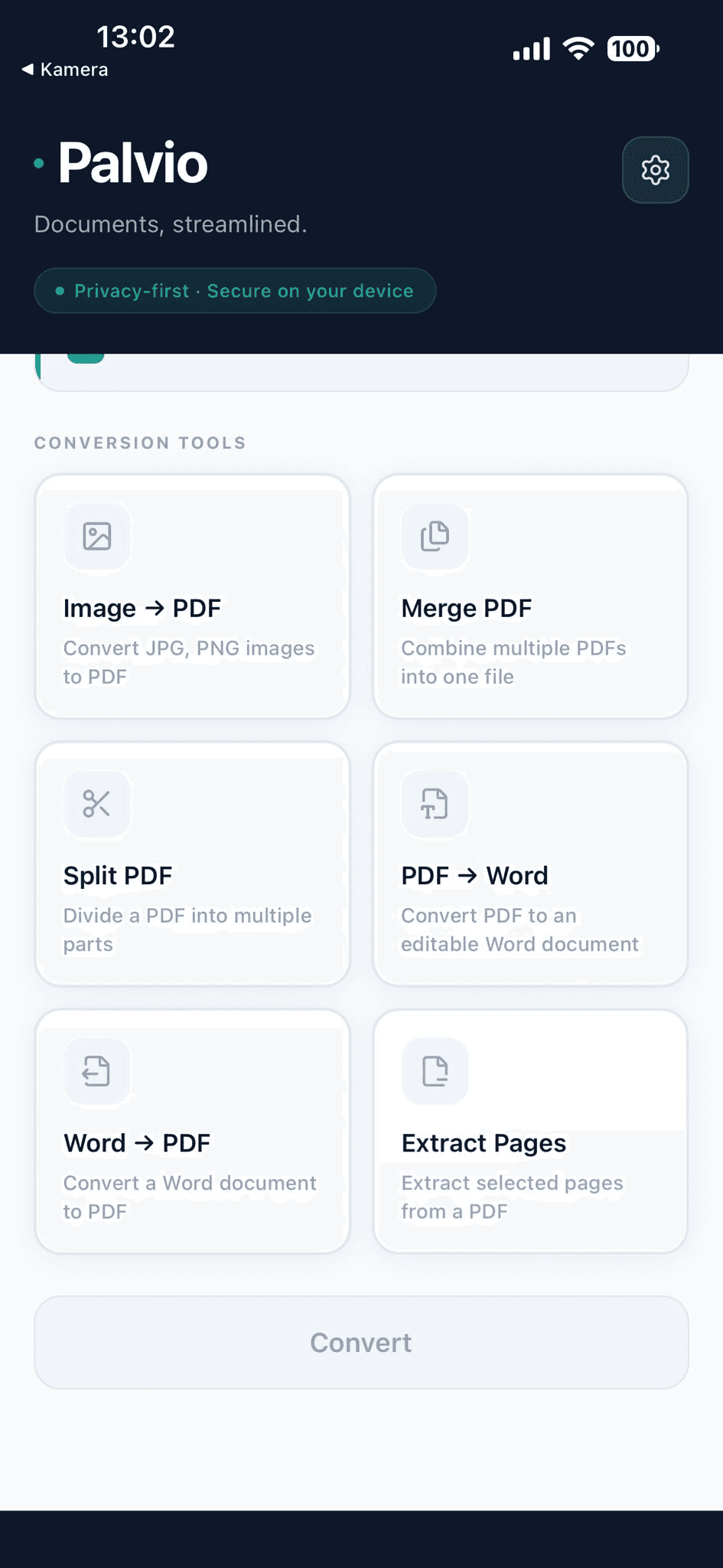 Palvio app screenshot