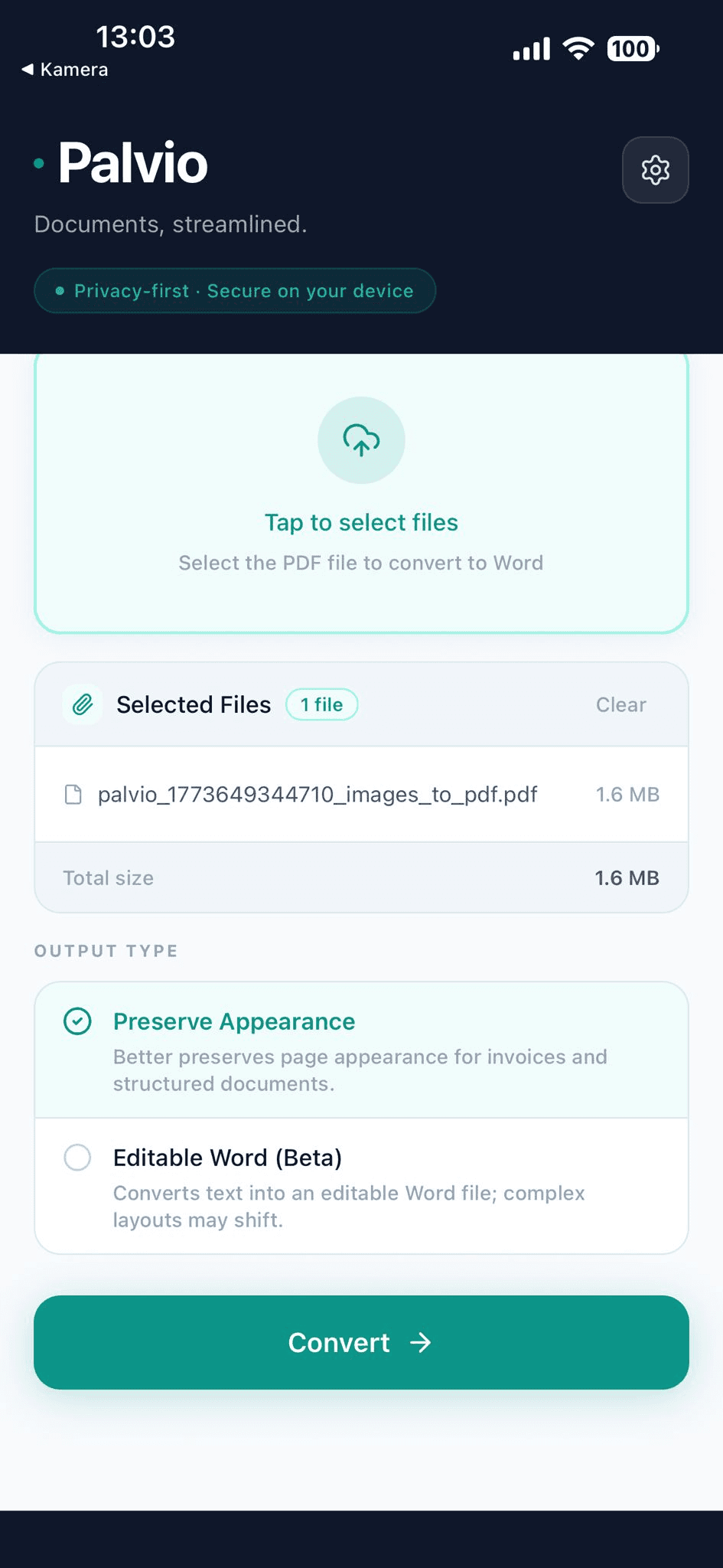 Palvio screenshot 2