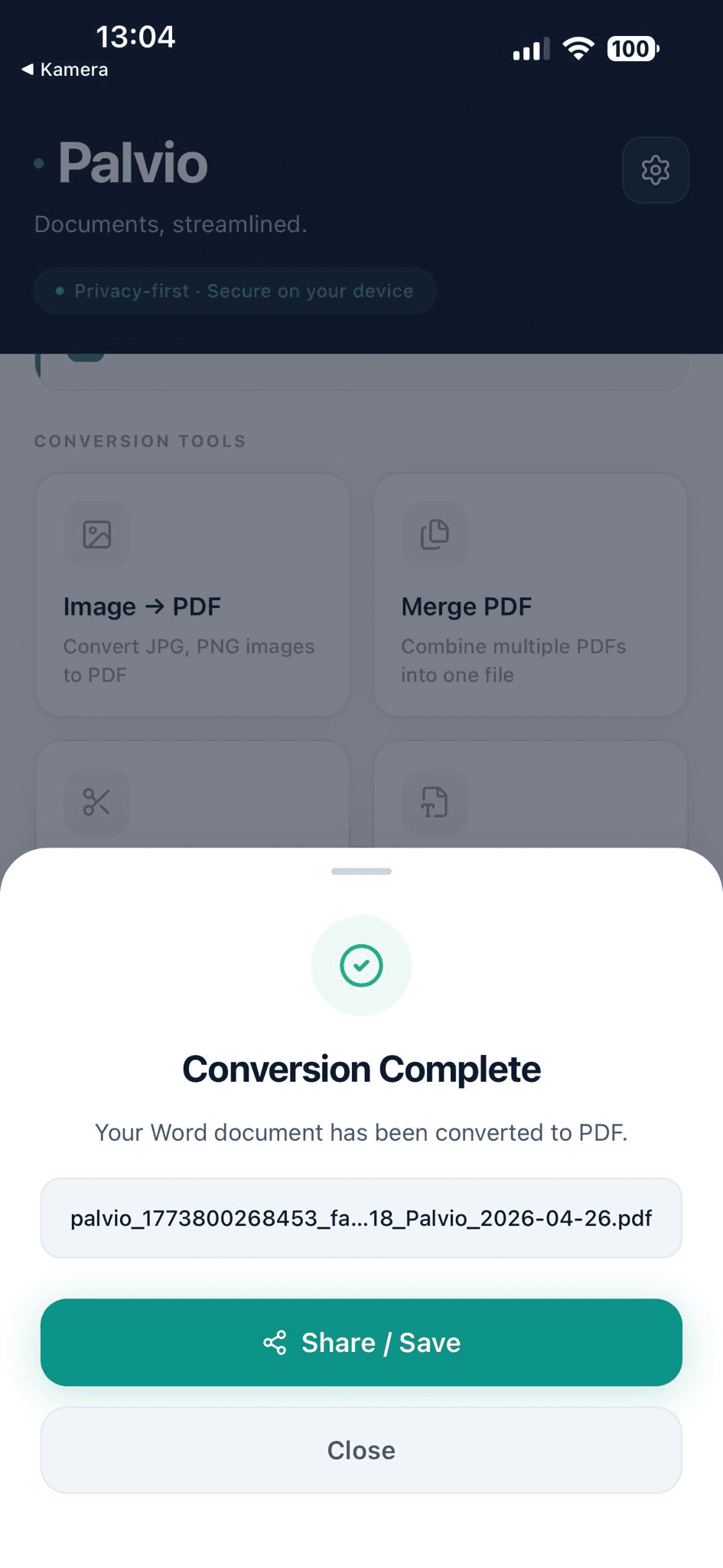 Palvio screenshot 3