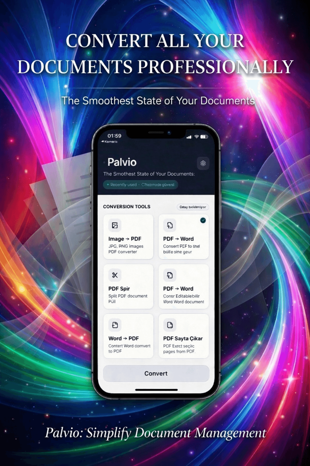 Palvio visual experience 1